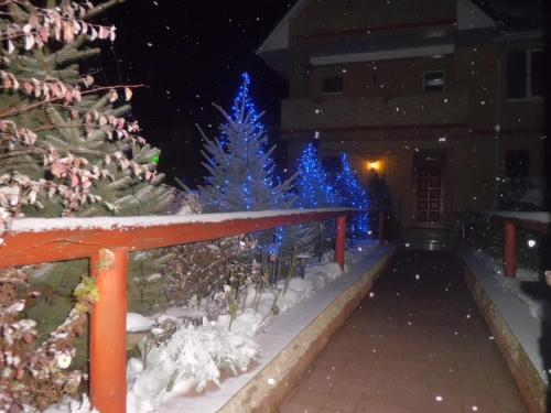 a group of blue christmas trees in the snow at Pensiunea Lory in Piatra Neamţ