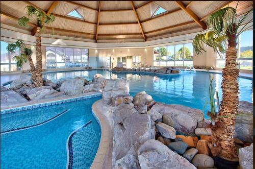 a large swimming pool with palm trees in a resort at The Warren Holiday Park - Family Chalet in Abersoch