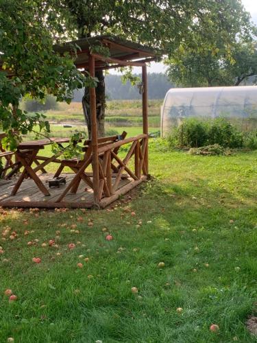 a wooden picnic table under a tree in a field at Poilsis pas Lidyja 