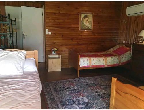 - une chambre avec 2 lits et un tapis dans l'établissement Grand Appartement 6 pers,lumineux,avec terrasse Sud de France, à Tuchan