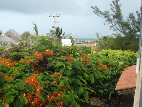 Un jardín fuera de Pousada 7 Mares