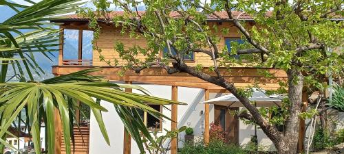 a wooden house with a tree in front of it at Hilburgerhof in Schenna