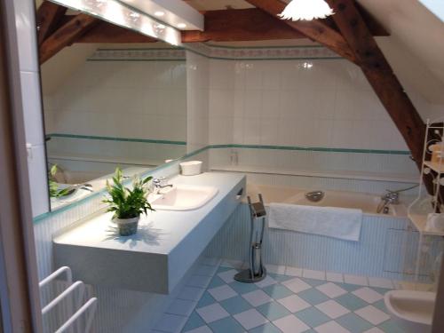 a bathroom with a sink and a bath tub at LE MOULIN DE MERAL in Montsûrs