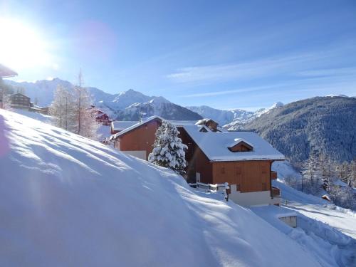 Appartement Peisey-Vallandry, 3 pièces, 6 personnes - FR-1-411-496