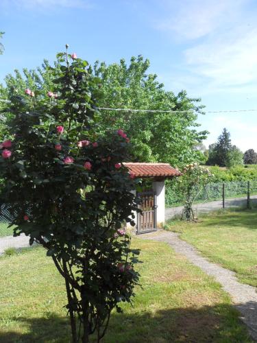 a tree with pink roses in front of a building at B&B Cuei di Baret in Tricesimo