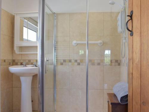 a bathroom with a shower and a sink at Hafan Fach Cottage in Pembroke
