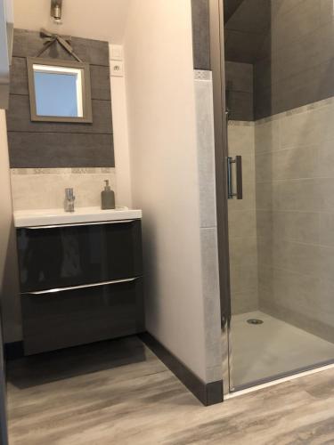 une salle de bain avec une douche, un lavabo et un miroir dans l'établissement Maison privative 5 Ch. 12 Pers. Piscine chauffée, à Désertines