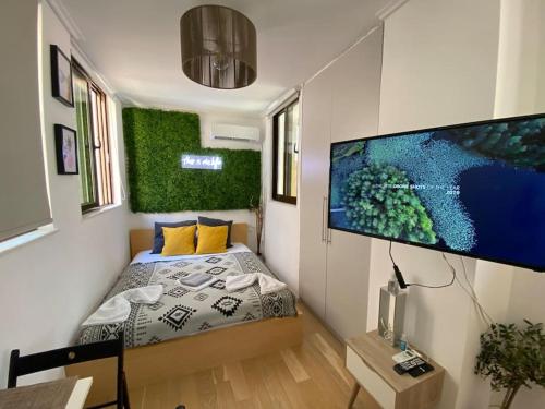1 dormitorio con 1 cama y TV de pantalla plana en Downtown 22sqm Green Nest King-Size Bed, en Atenas