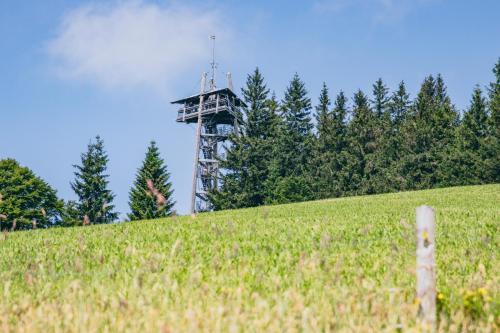 a cell tower on top of a grassy hill at Dorint Thermenhotel Freiburg in Freiburg im Breisgau