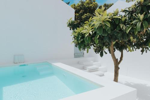 uma piscina com uma árvore em frente a uma casa em Senhora do Cabo Meco Homy Holidays em Sesimbra