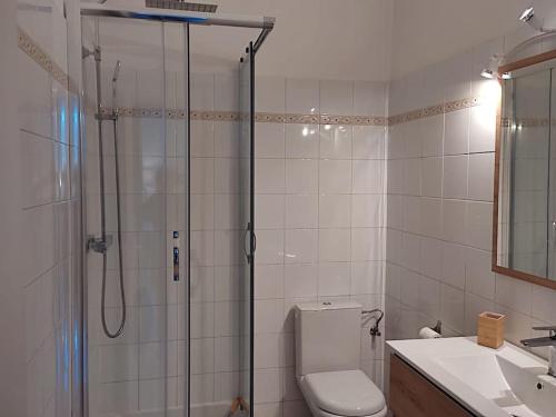 une salle de bain avec une douche, des toilettes et un lavabo dans l'établissement F3 moderne proche marché et mer, à Saint-Raphaël