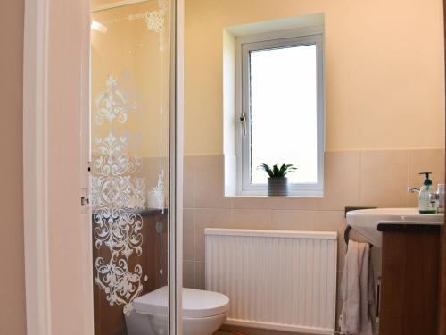 a bathroom with a shower and a toilet and a sink at Mill Lea Cottage in Onecote