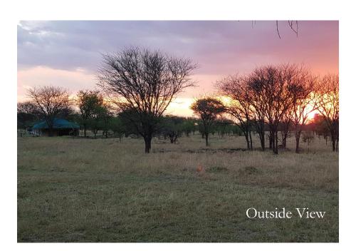 un campo alberato e il tramonto sullo sfondo di OLE SERAI LUXURY CAMP - KOGATENDE a Nyanungu