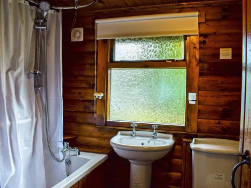 a bathroom with a toilet and a sink and a window at Forest View in Strathyre