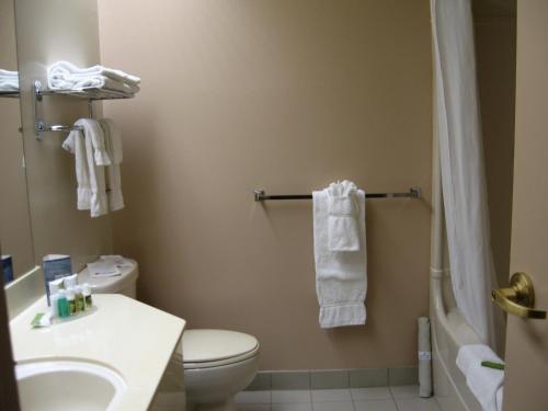 La salle de bains est pourvue de toilettes, d'un lavabo et d'une douche. dans l'établissement Coastal Inn Halifax - Bayers Lake, à Halifax