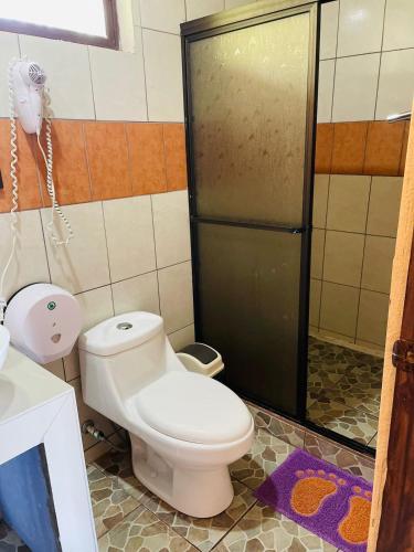 a bathroom with a toilet and a shower at Aunty Arenal Lodge in Fortuna