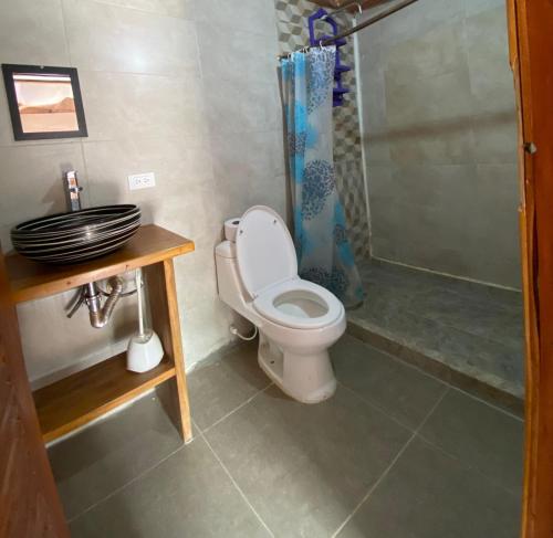 a bathroom with a toilet and a shower at Bao Bao Hostel in Palomino