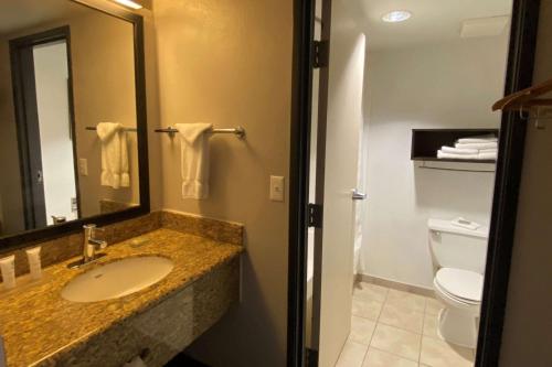 a bathroom with a sink and a toilet and a mirror at Wingate by Wyndham Chandler Phoenix in Chandler