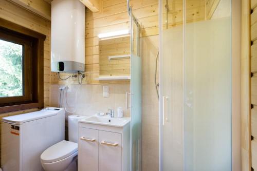 a bathroom with a toilet and a sink and a shower at DOMKI JANOSIK - Janosik 2 Komfort in Łopuszna