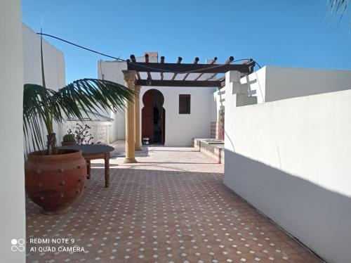 a courtyard of a house with a potted plant at Riad Dar Badiaa in Sale