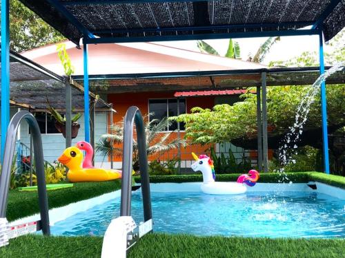 ein Pool mit einigen aufblasbaren Enten im Hof in der Unterkunft WAN'S ROOMSTAY LANGKAWI in Pantai Cenang