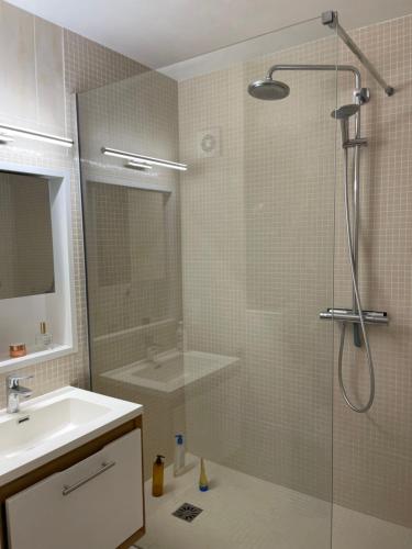 une salle de bain avec une douche avec un lavabo et une douche dans l'établissement Appartement les pieds dans l'eau, à Saint-Mandrier-sur-Mer