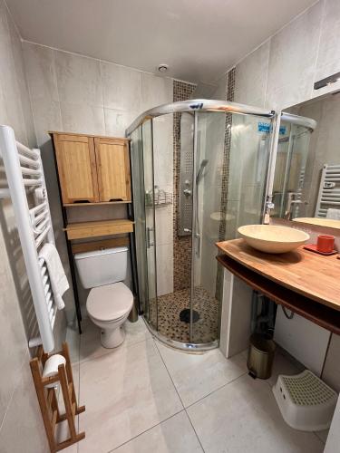 une salle de bain avec une douche, des toilettes et un lavabo dans l'établissement Maison calme avec terrasse - Calypso, à Ouistreham