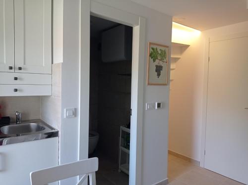 Η κουζίνα ή μικρή κουζίνα στο Heritage Apartments Kyra & Fox in Pitve, Hvar