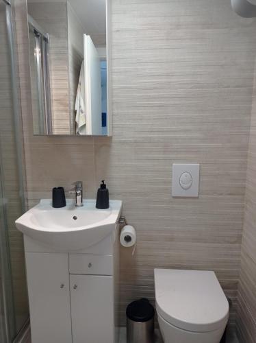 Ένα μπάνιο στο Heritage Apartments Kyra & Fox in Pitve, Hvar
