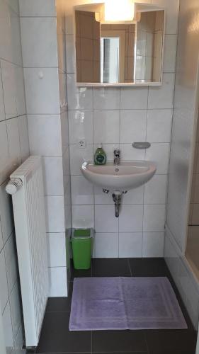 a bathroom with a sink and a mirror and a rug at Rivierzicht in Neuhausen