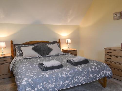 a bedroom with a bed with two night stands and two lamps at Rhosydd Cottage in Llanerchymedd