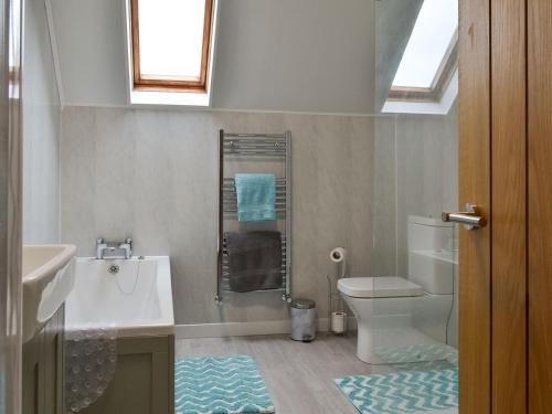 a bathroom with a white toilet and a sink at Rhosydd Cottage in Llanerchymedd
