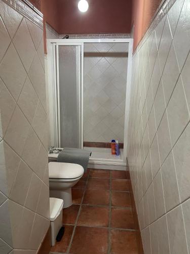 uma pequena casa de banho com WC e chuveiro em Casa Los pinceles de Murillo em Lora del Río