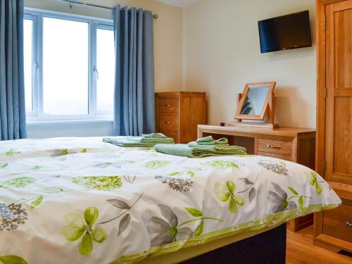 a bedroom with a bed and a window and a television at Sweet Meadow Lodge in Llandrindod Wells