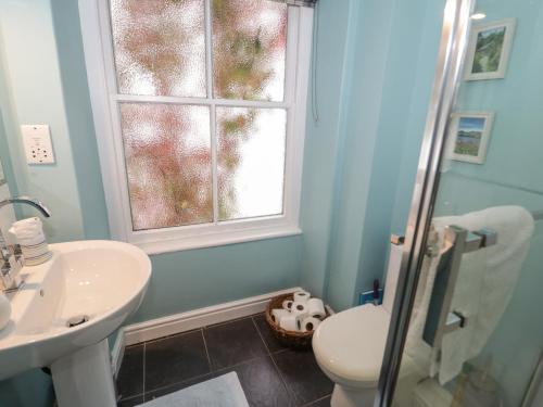 bagno con lavandino, servizi igienici e finestra di Bod Gwynedd a Betws-y-coed