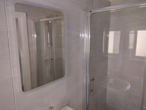 uma casa de banho com um chuveiro e um espelho. em Ryan's Cottage em Rostrevor