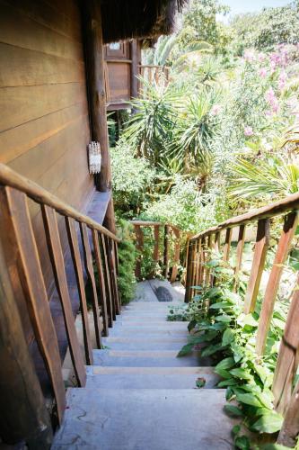 a stairway leading up to a building with plants at Hurricane Jeri in Jericoacoara