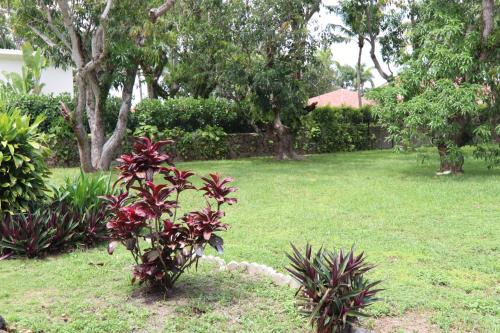 Taman di luar La Finca