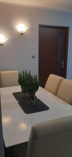 Fotografia z galérie ubytovania Flowers Apartament v destinácii Piła