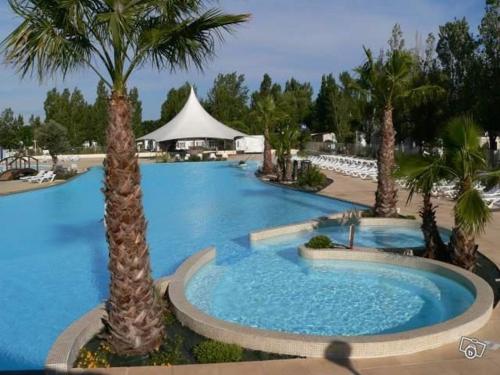 a large swimming pool with palm trees in a resort at Vacance à la Carabasse in Vias