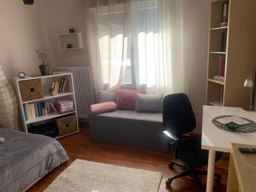 a bedroom with a couch and a desk and a window at Petra's house in Florina