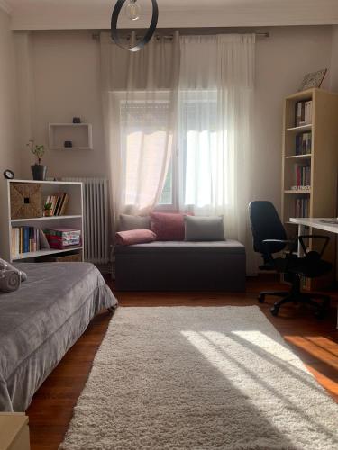 1 dormitorio con cama, escritorio y ventana en Petra's house, en Florina