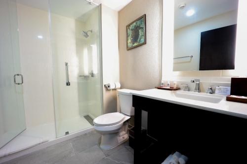 a bathroom with a toilet and a shower and a sink at Comfort Inn & Suites Tobago in Tobago Island
