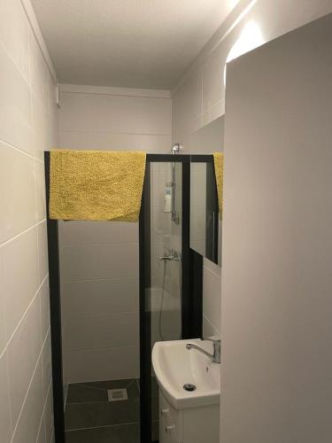 a small bathroom with a shower and a sink at Pension Zdarsky in Lilienfeld