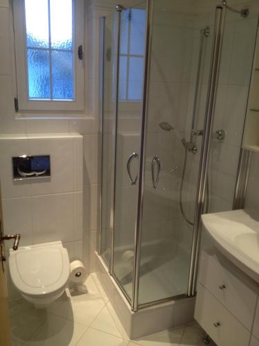 a bathroom with a shower and a toilet at Villa Rauter Mayrhofen in Mayrhofen