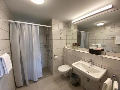 een badkamer met een wastafel, een toilet en een spiegel bij Motel & Aparthotel Brüggli in Emmen