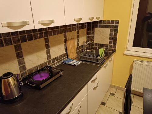 Φωτογραφία από το άλμπουμ του Lale's Room σε Palić