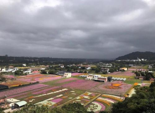 an aerial view of a town with a field of flowers at Lemuju B&B Hotel in Daxi