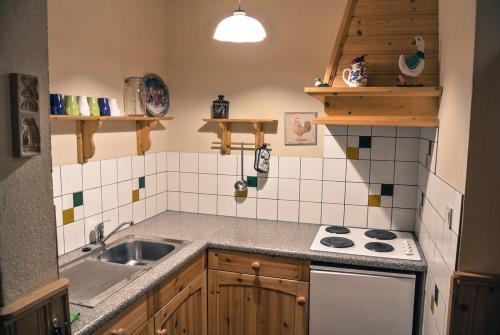 a kitchen with a sink and a stove top oven at Marx Bauernhaus 