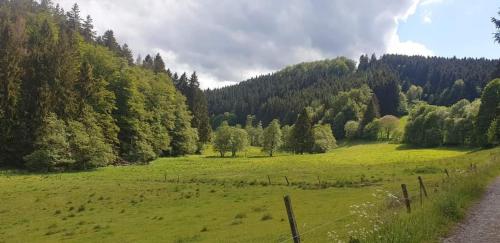 Příroda nedaleko apartmánu